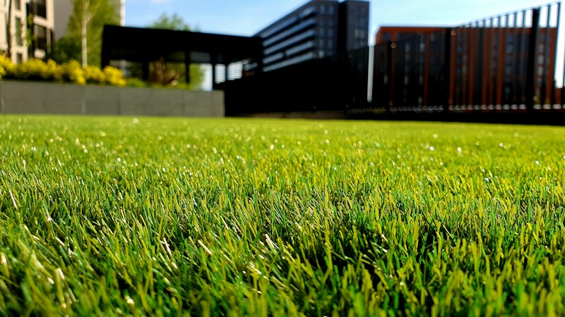 Gartengestaltung Einfamilienhaus