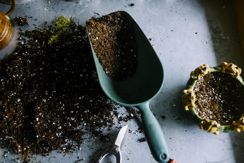 Gartenpflege & Heckenschnitt